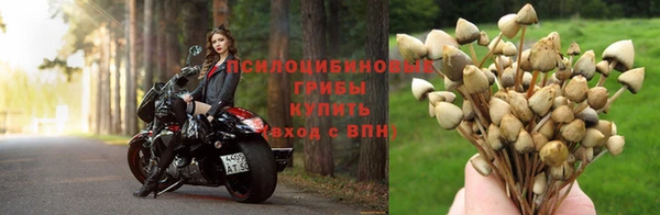 крисы Горно-Алтайск