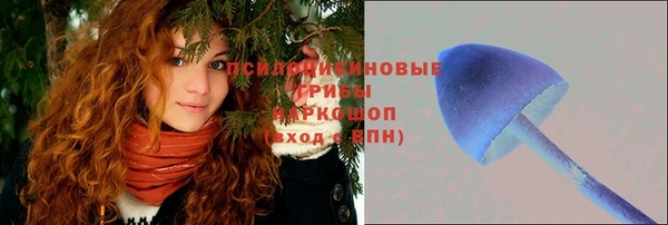 молекула духа Волоколамск