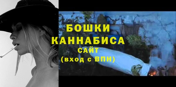 молекула духа Волоколамск