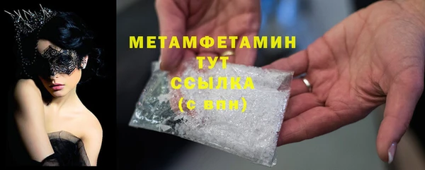 индика Горнозаводск