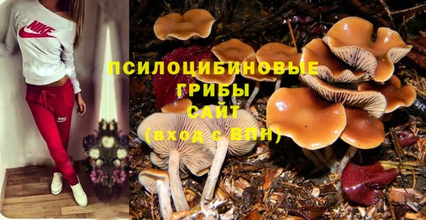 молекула духа Волоколамск
