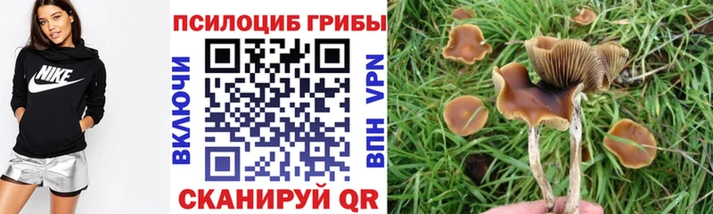 Галлюциногенные грибы ЛСД  Жирновск 